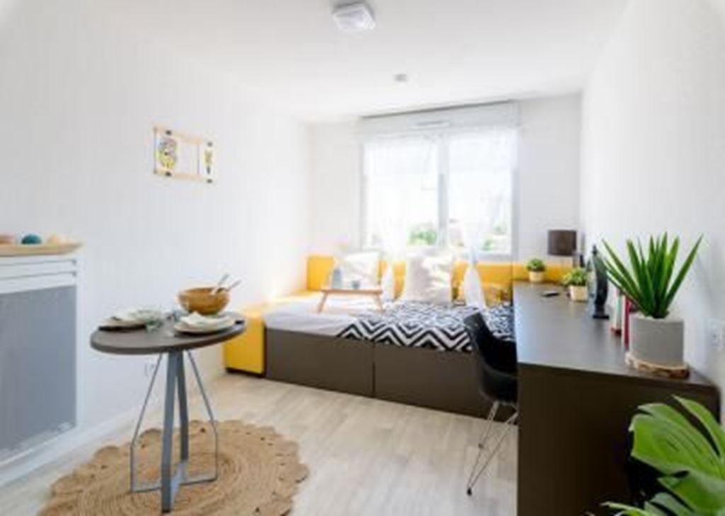Appartement Studio TOULOUSE 79900€ EURO PATRIMOINE IMMOBILIER Appartement Studio TOULOUSE 79900€ EURO PATRIMOINE IMMOBILIER