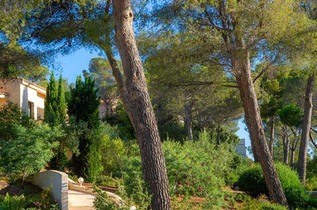 Appartement T2 ST RAPHAEL 86000€ EURO PATRIMOINE IMMOBILIER Appartement T2 ST RAPHAEL 86000€ EURO PATRIMOINE IMMOBILIER